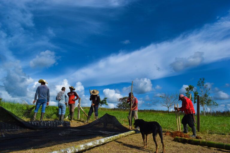 Conoce cómo Caquetá construye paz junto al proyecto Amazonía Joven