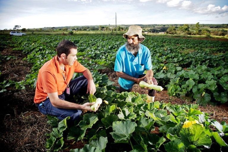 Alianza entre SENA y FAO para fortalecer el desarrollo rural en Colombia