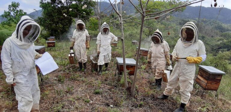 “Tierralta Donde Fluye Miel”, un proyecto ambicioso para familias campesinas