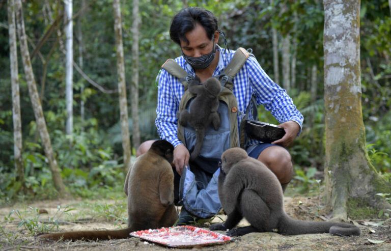 Líder indígena es un ejemplo de protección animal en Amazonas