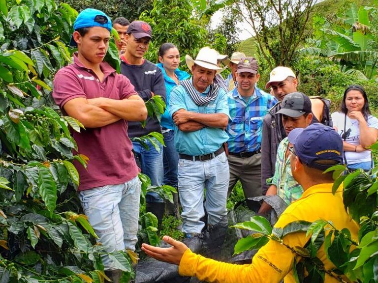 Programa «Fábricas de Productividad» sigue en búsqueda de extensionistas