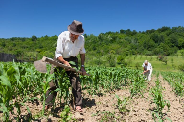 Proyecto “Tierra y Territorios Sostenibles para la Paz” avanza favorablemente