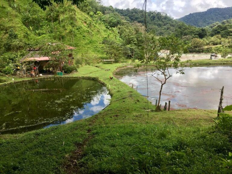 Caquetá le apuesta a una nueva actividad económica