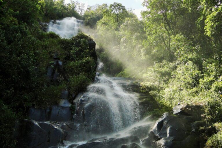 Parque BIO+ en Antioquia fortalecerá la gobernanza territorial