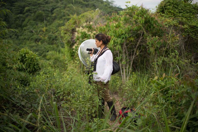 Señales ecoacústicas, una alternativa para proteger los bosques