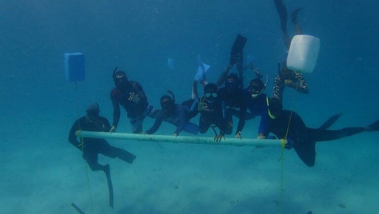 Se instalan guarderías de coral en Providencia para rehabilitar arrecifes