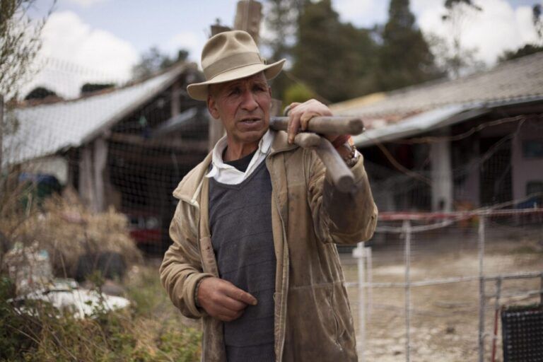 3 documentales que nos acercan a la vida del campesinado colombiano