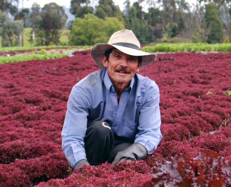 Sistema Participativo de Garantía y su importancia