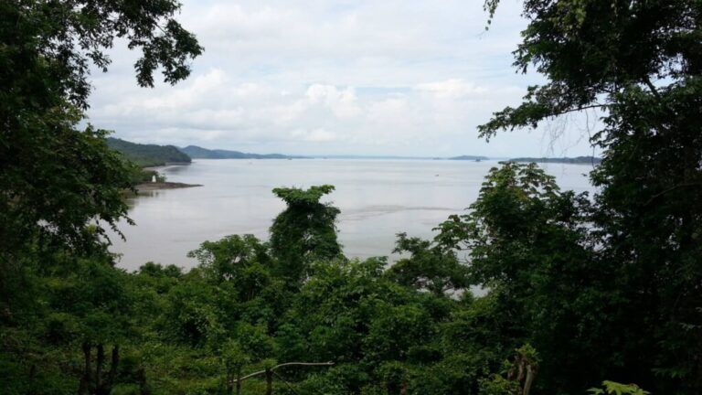 Carta del campo: Miradas desde adentro, entre el río Tuira y el río Paya
