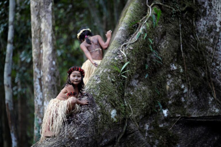 Los pueblos indígenas y tribales y la gobernanza de los bosques