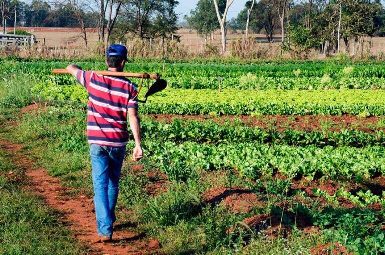 Campesinos en Antioquia accederán a créditos agrícolas con bajo interés