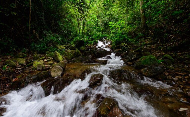 Así se desarrolló el Encuentro por el Agua y la Energía Renovable 2021