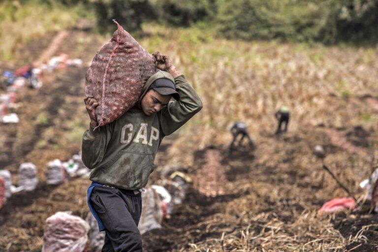Radio Mundo Rural: Balance poco favorable para agricultores de Boyacá