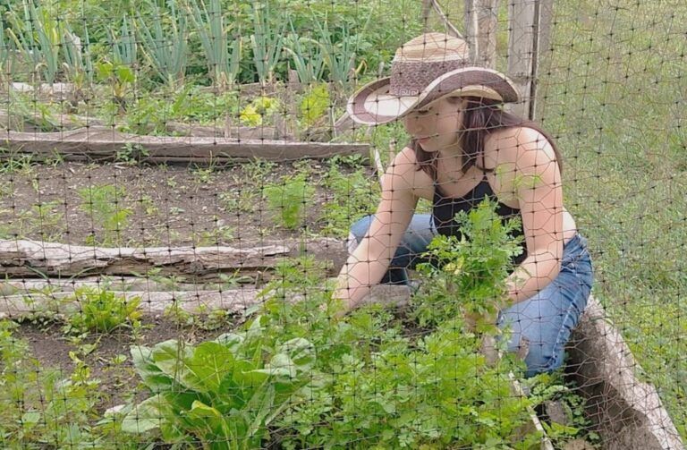 Carta del campo: Reconocimiento a la valiosa mujer campesina