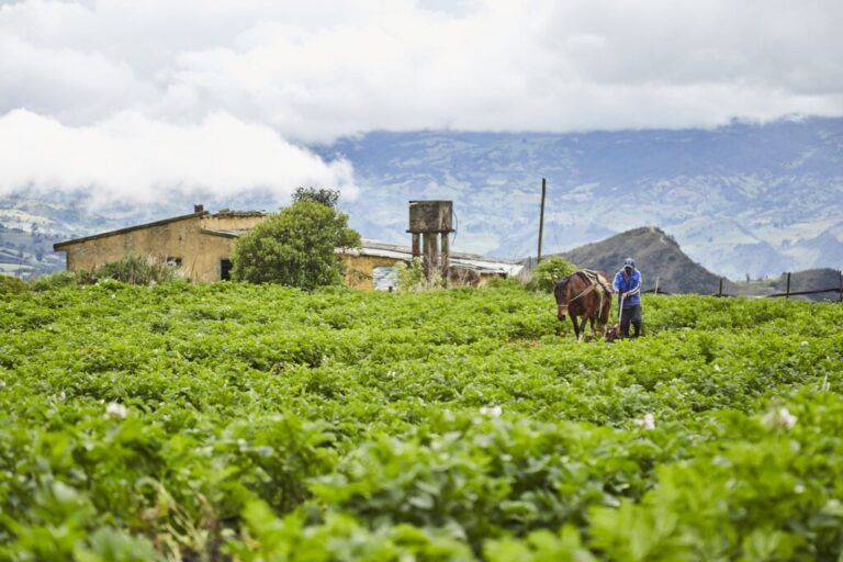 Semana de la Agricultura Tropical, transformación alimentaria de América Latina