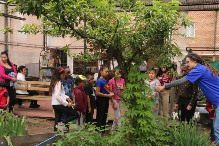 Con huertas comunitarias Ciudad Bolívar es líder en agricultura urbana