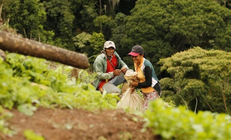 Nuevo decreto para beneficiar a pequeños productores del agro