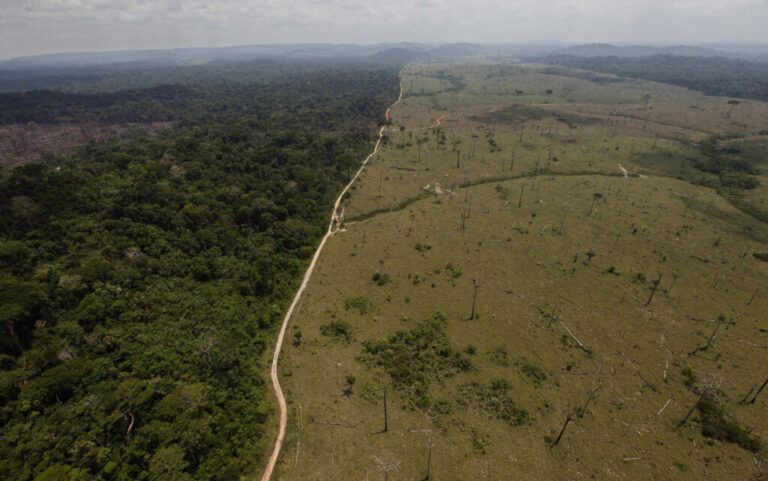 Chile se suma al plan para revitalizar los suelos de América Latina