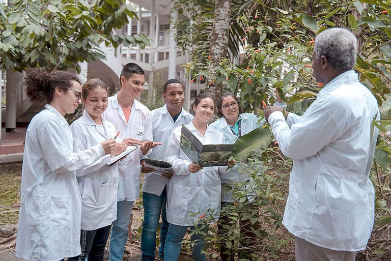 Acta Agronómica, la revista de la UNAL que destaca por su contenido