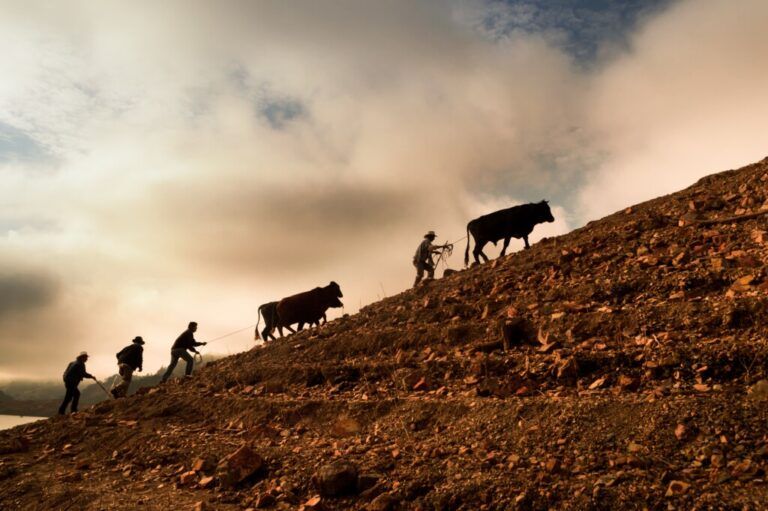 #Opinión: Solución al problema agrario requiere de líderes políticos comprometidos