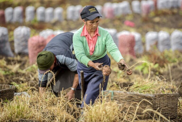 Mis finanzas Cuentan, una estrategia para apoyar a las mujeres rurales