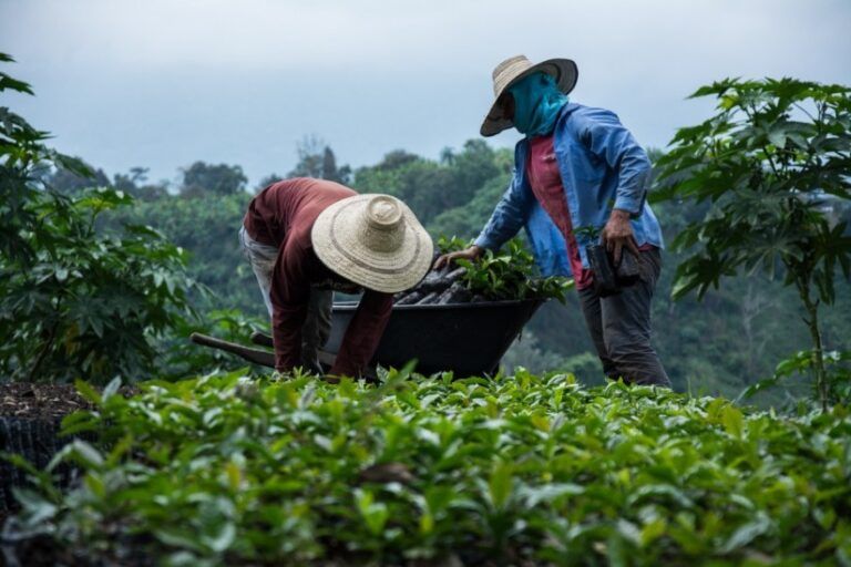 Convocatoria para iniciativas que buscan contribuir al desarrollo rural