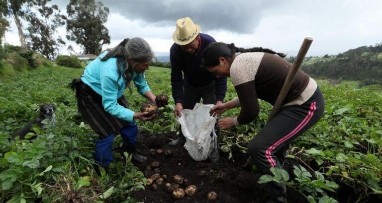 Cómprele al Campo, espacio radial que promueve productos campesinos