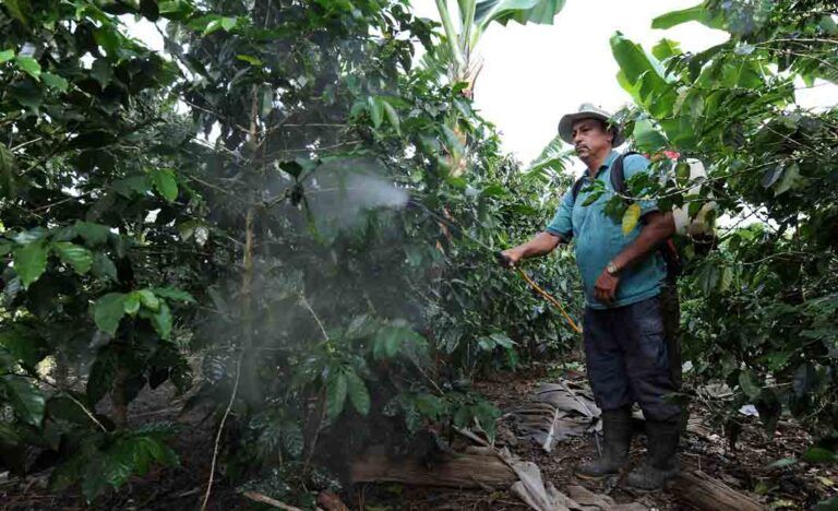 Pesticidas orgánicos, solución para la productividad y el cuidado ambiental
