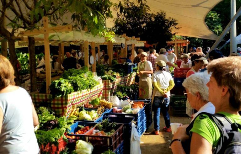 Mercados campesinos para el comercio justo y la construcción de paz