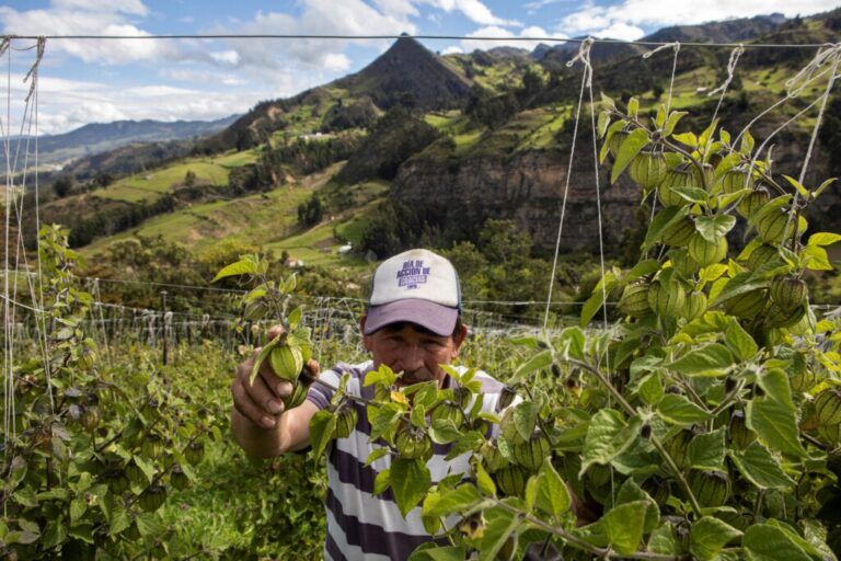 Montañas Vivas, un sueño comunitario basado en la protección ambiental