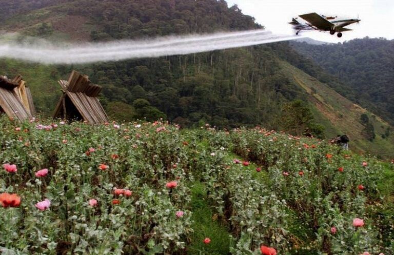 Regreso de aspersiones con glifosato a los campos de Colombia