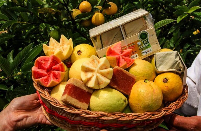 El bocadillo, un manjar ancestral a base de guayaba