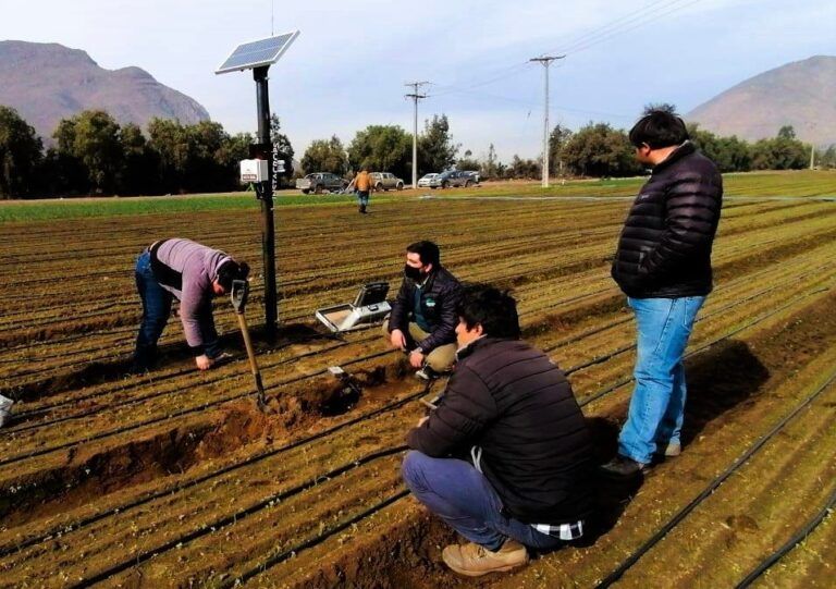 Instacrops, tecnología chilena al servicio del agro colombiano