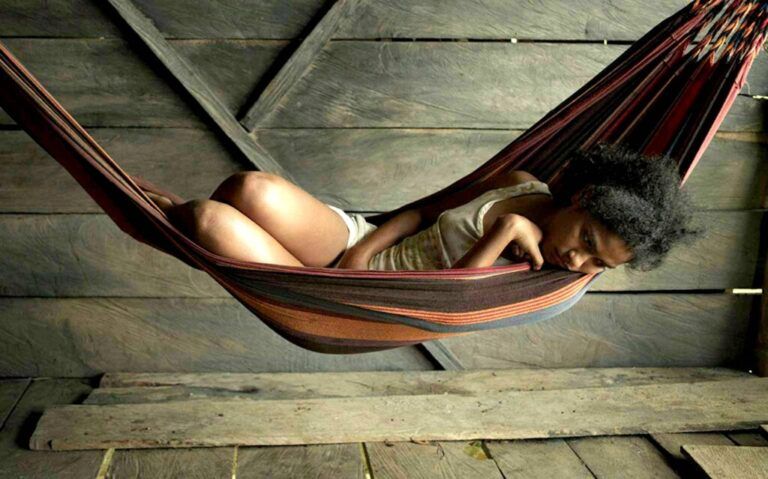 Oscuro Animal, mujeres que narran el desplazamiento forzado