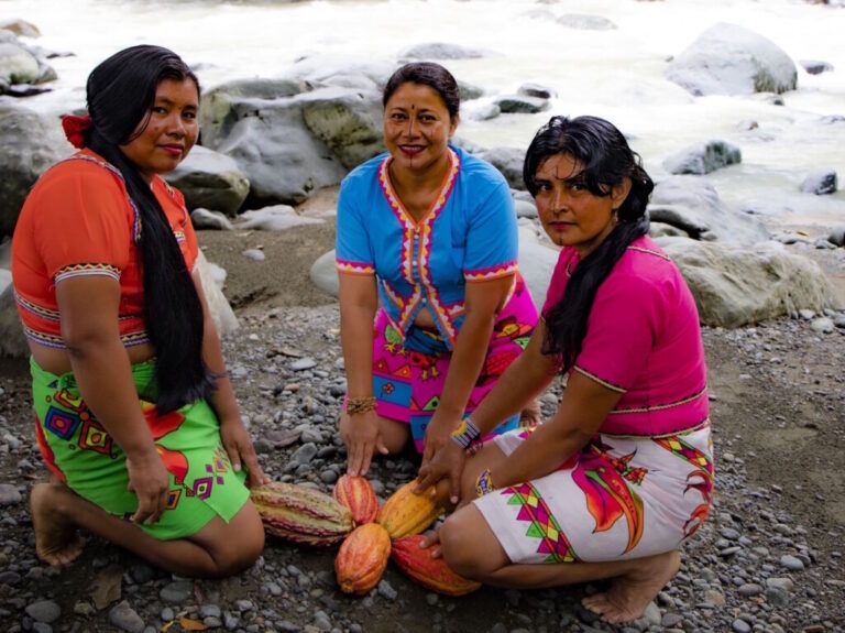 Cacao y chocolatería gourmet, la apuesta embera que florece en Antioquia
