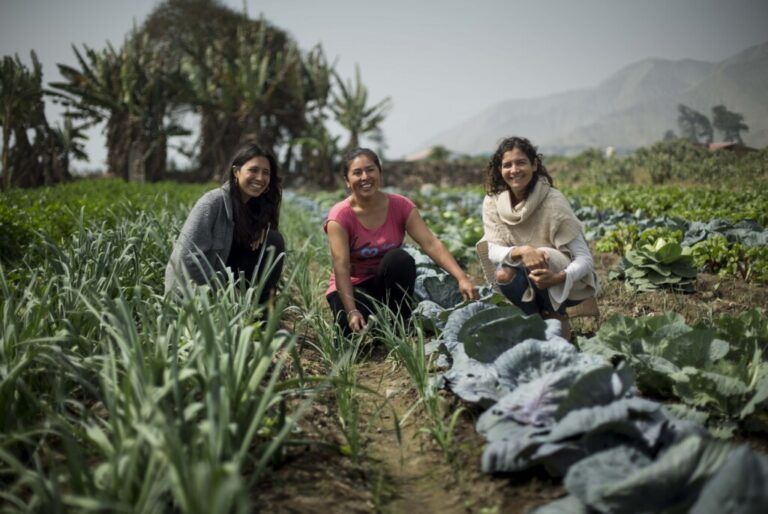 Jóvenes y agroecología, 3 emprendimientos latinoamericanos