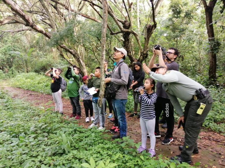 Soy Huila, soy Águila Real de Montaña, apuesta de conservación en Huila