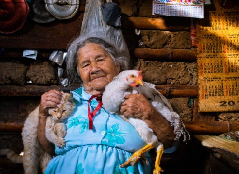Carta del campo: Reconociendo  la mujer rural desde el Museo del Campesino