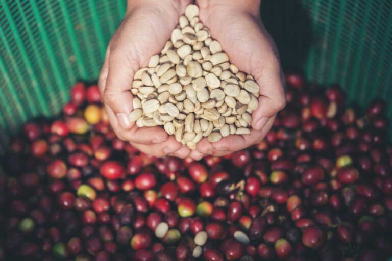 Radio Mundo Rural:¿Bonanza cafetera afectaría comercio internacional?