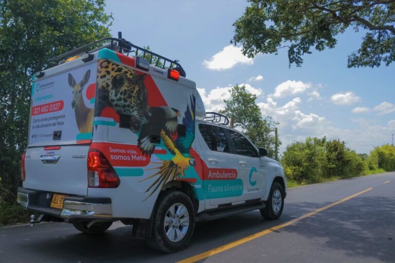 El  Meta  puso en marcha ambulancia para atención de fauna silvestre