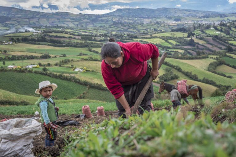 Radio Mundo Rural:Aumentan brechas de género en el campo colombiano