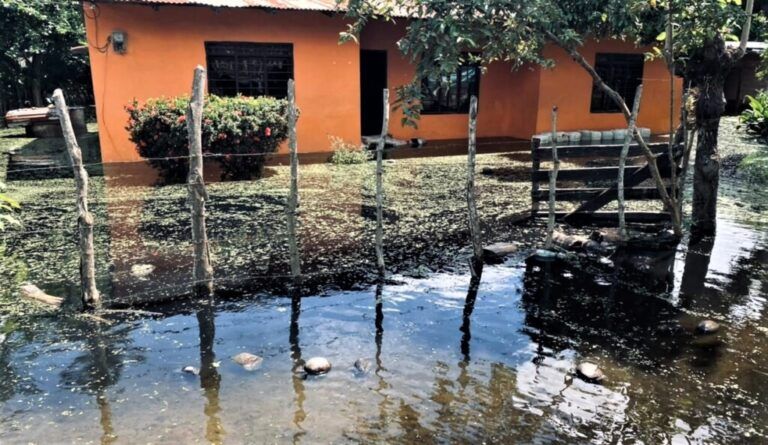 Carta del campo: Fuertes estragos deja el invierno en Los Mimbres