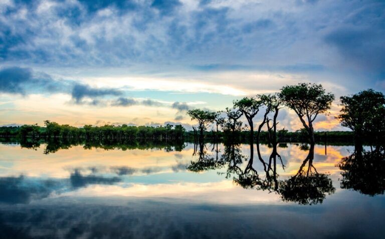 Amazonía Viva, un pacto nacional por la Amazonía colombiana