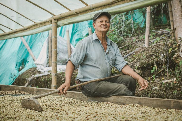Carcafé y Yara sellan alianza para beneficiar a más de 29.000 caficultores
