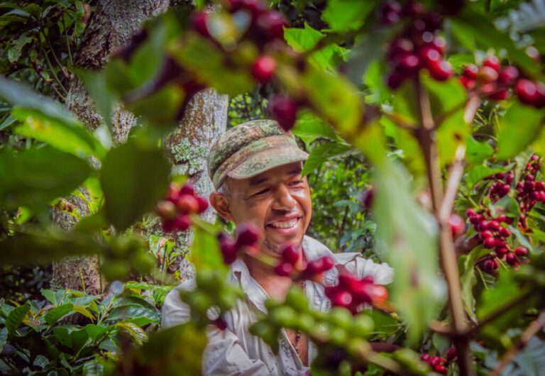 Radio Mundo Rural: Futuro positivo para el café colombiano