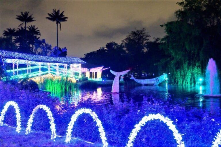 Pacificanto, la exhibición de luces en honor al Pacífico colombiano