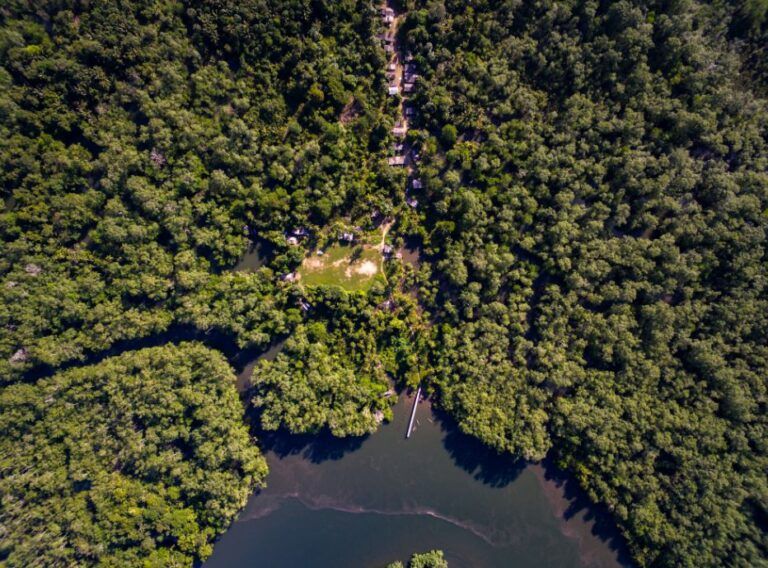 Nueva resolución pone en riesgo zonas de reserva forestales
