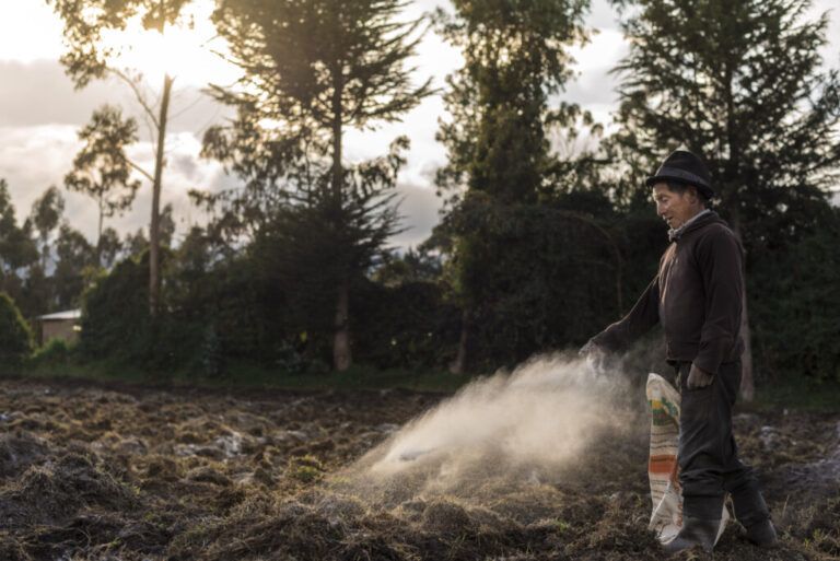 Producción agrícola, principal afectada por conflicto entre Rusia y Ucrania