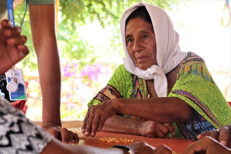 Con investigación participativa protegen semillas en La Guajira