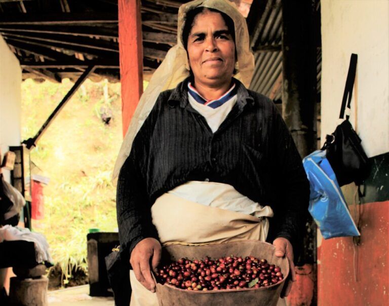 Radio Mundo Rural: Cae la producción cafetera en Colombia